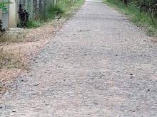 Hình ảnh Đất cần bán gấp Tân lập huyện Tân biên ngan 9 dài 48-350m thổ cư  Gần