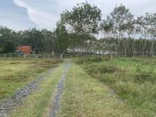 Hình ảnh LONG VĨNH- CHÂU THÀNH- TÂY NINH   ✳️Một lô đất nở hậu tài lộc xứng đán
