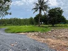 Hình ảnh Cần cc gấp giảm=>>290tr  5*30m full ONT- Bàu Năng - Dương Minh Châu- T