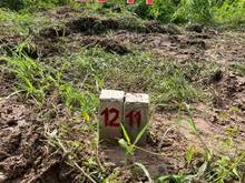 Hình ảnh Thạnh Phước - Thạnh Bình - Tân Biên - TÂY NINH 🚩   🍀Tây Ninh nơi đâu