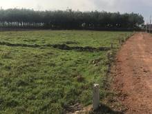 Hình ảnh Ninh Sơn-Ninh Bình-TP Tây Ninh.Chính chủ bán gấp 300m2, 350 tr, SHR