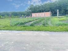Hình ảnh Em có lô đất Tân Đông Tân Châu cần bán gấp với giá:520tr dt: 1250m2