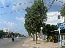 Hình ảnh Bán đất Hẻm ĐIỆN BIÊN PHỦ-NINH THẠNH Từ ĐBP vô đúng 50mét tới đất Diện