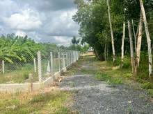 Hình ảnh Bán đất tặng nhà mặt tiền DT 795 H.Tân Châu, Tây Ninh giá:260 triệu