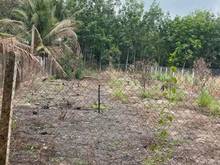 Hình ảnh Chính chủ gửi bán gấp Lô đất ở Tân Châu - Tây Ninh Mặt đường qh 20m Di