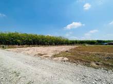 Hình ảnh Chủ gửi bán đất ở Gò Dầu - Tây Ninh Đất bằng phẳng , đường 4m xe ô tô