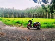 Hình ảnh 1/5 Bán lô đất góc 2 mặt tiền hẻm gần KCN Phước Đông ở Ấp Rộc B, Thạnh
