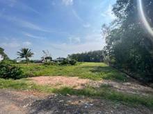 Hình ảnh Đất đẹp Cây trắc ,Phước Đông, Gò Dầu, TN 1110m2