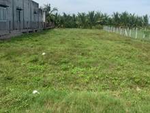 Hình ảnh XẢ LỖ TRƯỚC TẾT đất Phước Hòa Phước Thạnh Gò Dầu 200m²