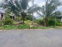 Hình ảnh [Châu Thành] Trí Bình 👉 cách DT782 nhựa 350m, cách vòng xoay, trung t