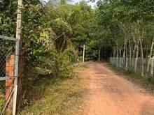 Hình ảnh Bán nhà đất Thái Bình Châu Thành  Mặt tiền đường sỏi đỏ sắp lên nhựa.
