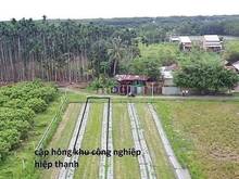 Hình ảnh 1/3 Giá chỉ: #350triệu Gò Dầu Tây Ninh 5x28 Full thổ cư Dân cư đông đú