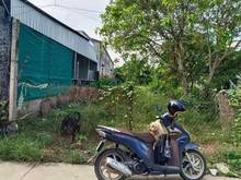 Hình ảnh bán 2 lô liền kề mặt tiền betong ngay gò dầu dt 175 thổ 60 giá 450tr