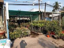 Hình ảnh Ngợp lắm rồi ace ơi bán đất nguyễn văn linh Dt 20x29m tc 170m giá330tr