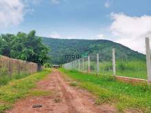 Hình ảnh Sở hữu 1000m2 đất ở gần trung tâm TP Tây Ninh siêu rẻ 👉Chỉ 780 triệu