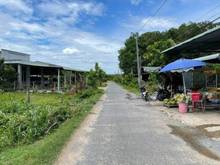 Hình ảnh Bán đất Mặt Tiền Nhựa Nhánh Phước Hoà Phước Thạnh Gò Dầu Tây Ninh