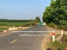 Hình ảnh Chà Là - Dương Minh Châu -Tây Ninh 5x35 full thổ cư chir 300tr