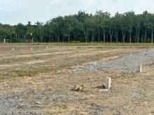 Hình ảnh BÁN ĐỨT CẤP TỐC đất KCN Suối Cao Gò Dầu Tây Ninh 125m²