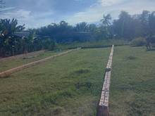 Hình ảnh Hạ giá đất ngay Tân Biên Tây Ninh giá 270 triệu DT:6x25m Công chứng