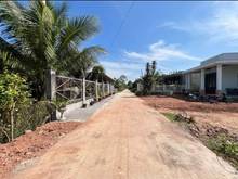 Hình ảnh Chính chủ gửi bán đất Ấp 3, Bàu Đồn, Gò Dầu, Tây Ninh giá 250 triệu