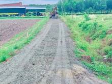 Hình ảnh Chủ cần bán hơn 1 công đất có 100m2 thổ cư, Đất phủ hồng , cách nhựa l