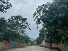 Hình ảnh Bán đất 1600m2 full thổ cư tại Sóc Sơn, Hà Nội. Giá 6,9tr/m2
