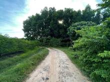 Hình ảnh Bán đất Full Thổ Cư, View Núi Bà Đen,Tp Tây ninh + có sổ công chưng và