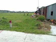 Hình ảnh giá ngộp 779tr/ nền. Giáp thị trấn, cách 2 km . Thạnh Bình, Tân Biên,