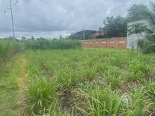 Hình ảnh [TRẢNG BÀNG] CẦN BÁN GẤP ĐẤT -Diện tích: 2 sổ (10x107) HNK -xã An Tịnh