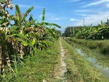 Hình ảnh ‼️Chủ gửi 2,5 công đất hoà thành tây ninh Giá 1ty200 Thương lượng