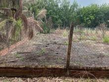 Hình ảnh Chính chủ gửi bán gấp Lô đất ở Tân Đông - Tân Châu - Tây Ninh Mặt đườn