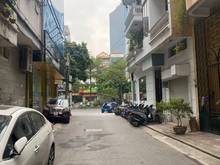 Hình ảnh Bán nhà riêng phân lô ngõ 167 Tây Sơn, diện tích 54 m2, ô tô đỗ cửa