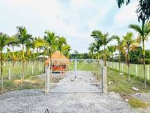 Hình ảnh Hot, đất view kênh mát mẻ GIÁ RẺ  FULL THỔ CHỉ 355Tr/M2 Gò Dầu T.Ninh