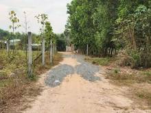 Hình ảnh trí bình châu thành ngộp đại hạ giá còn 420tr cho miếng đất 5m dai 52m
