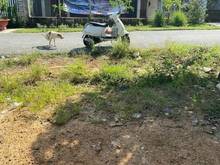 Hình ảnh XOAY VỐN BÁN ĐẤT Trần Hưng Đạo P2 TP Tây Ninh 100m² giá 720tr