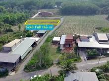 Hình ảnh BÁN GẤP LÔ ĐẤT MẶT TIỀN Nguyễn Chí Thanh TT Tân Biên 200m² giá 1tỷ090
