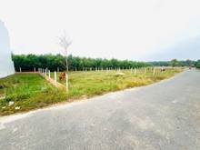 Hình ảnh Bán đẹp ngon bổ rẻ Tân Biên, Tây Ninh giá 300 triệu thổ cư 100m2