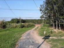 Hình ảnh Cần bán lô đất nằm trên trục đươngg chính Hương Lộ 2, Tây Ninh 390tr
