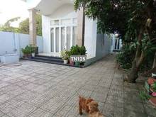 Hình ảnh Nhà vườn siêu rẻ đẹp Thành phố Tây Ninh Phường 1 , Thành phố Tây Ninh,