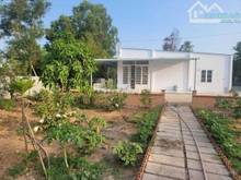 Hình ảnh Mua đất tặng nhà, đường Chùa Đá,Gia Lộc,Trảng Bàng, Tây Ninh Giá 870