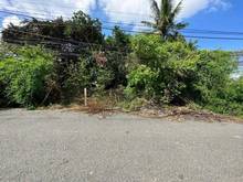 Hình ảnh Còn lô duy nhất p . Hiệp ninh tp tây Ninh Dt 10.18x29m nở hậu 11m full