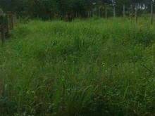 Hình ảnh 530tr hết đất ( còn TL cho khách nào thiện chí ) Lô đất nằm sau Chợ Th