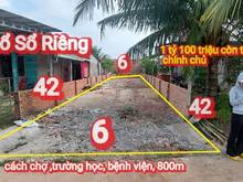 Hình ảnh đất thổ ngộp thật sự 6x42 gần thị trấn đông thành