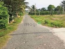 Hình ảnh CẮT LỖ LÔ ĐẤT Suối Dây Tân Châu Tây Ninh 520tr full thổ cư 225m2.