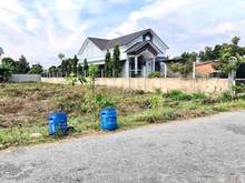 Hình ảnh Đất vườn có Thổ 310m2, Giá chỉ 450 triệu, Ngay Thị Xã Trảng Bàng.