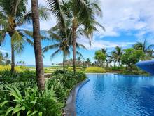 Hình ảnh Cơ hội kinh doanh hái ra tiền tại CR - shophouse biển liền kề sân bay