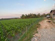 Hình ảnh BÁN ĐẤT ĐẸP GIÁ ĐẦU HỢP LÝ Huỳnh Tấn Phát, TP.Tây Ninh,1000m2