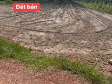 Hình ảnh Xoay tiền làm ăn bán đất TRƯỜNG THÀNH - HÒA THÀNH, SHR chỉ còn 294tr
