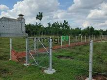 Hình ảnh SHR 147,55m2 Thổ cư Chỉ 385tr Ở ThÁI Bình Châu Thành, Tây Ninh