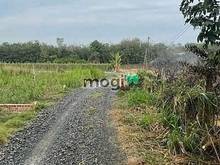 Hình ảnh Bán gấp lô đất đường ĐT 786, xã Hảo Đước, Châu Thành, Tây Ninh 283 tr